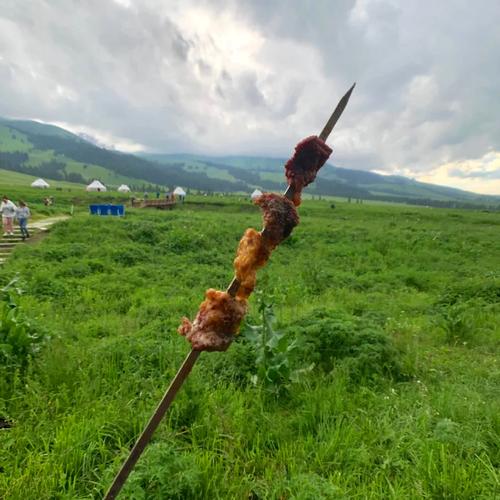 多匹马失温冻死草原,马被冻死
