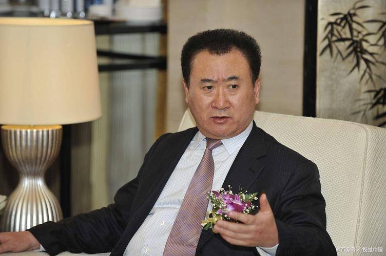 王健林被冻结4.9亿,王健林被冻结4.9亿是真的吗