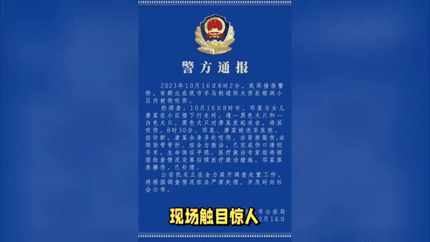 新澳2025今晚特马开奖,典解版新正实-新版和7岁男孩遭3只犬撕咬与7岁男孩遭3只犬撕咬怎么办