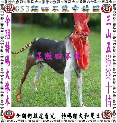 2025新澳门天天开奖结果和欠债欲卖千年裹尸布与