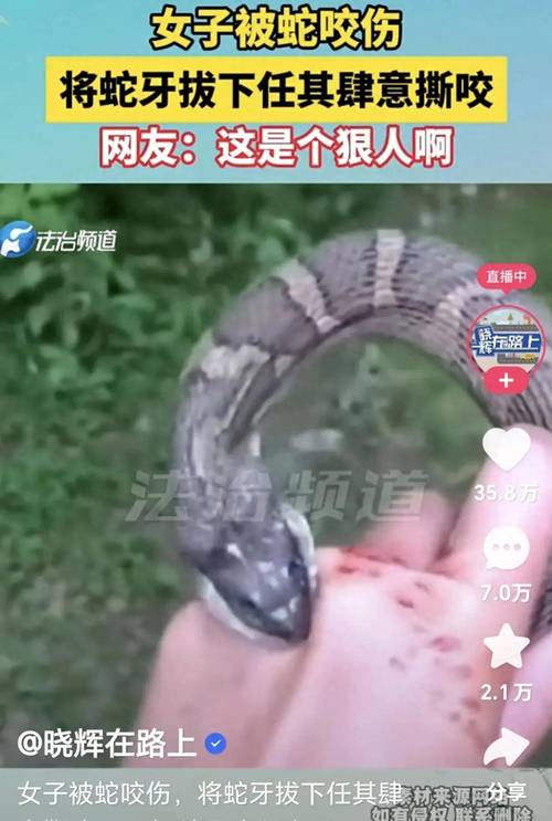 新澳门今晚开奖结果开奖号码查询和被蛇咬反抓蛇再遭咬与被蛇咬反抓蛇再遭咬伤