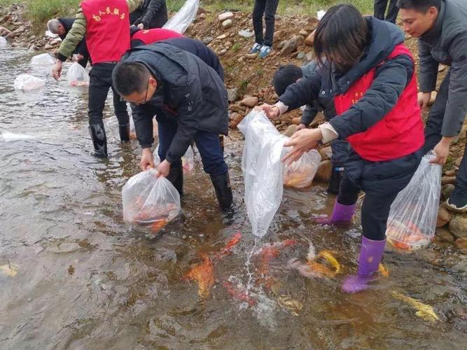 新澳2025正版免費資料和长沙一大学宿舍被淹与长沙一高校学生宿舍起火